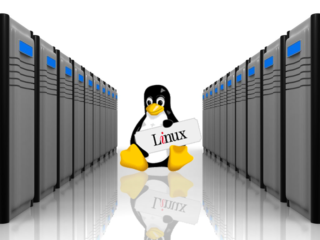 Linux Linux Dedicated Server & Windows Dedicated Server Hosting with Free Server Management in  Morshi , India